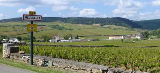 Wijn, fietsen, wandelen? Denk eens aan de Bourgogne