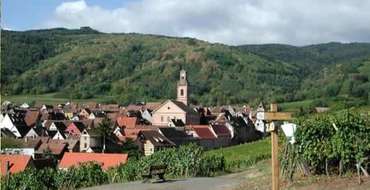 Riquewihr: een paar dagen naar de Elzas