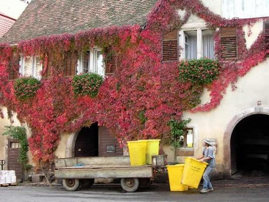 Ontdek de herfstkleuren in de nazomer van de Elzas