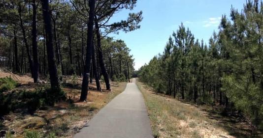 Fietsen over de V&eacute;lodyss&eacute;e naar Cap-Ferret