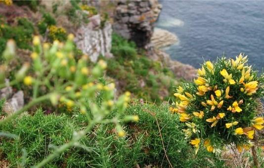 Fort la Latte in Bretagne