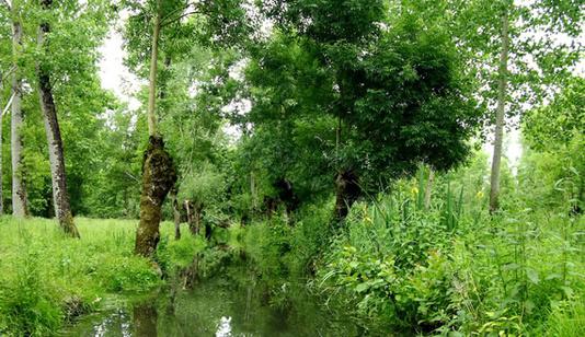 Rondreis Kastelen Loire en de Loirevallei