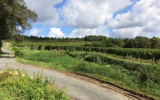 60 kilometer genieten in de Franse natuur