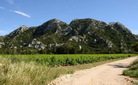 Ervaringen bij Saint-R&eacute;my-de-Provence