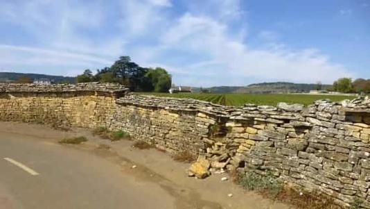 Wandelen en fietsen in de Franse wijngaarden