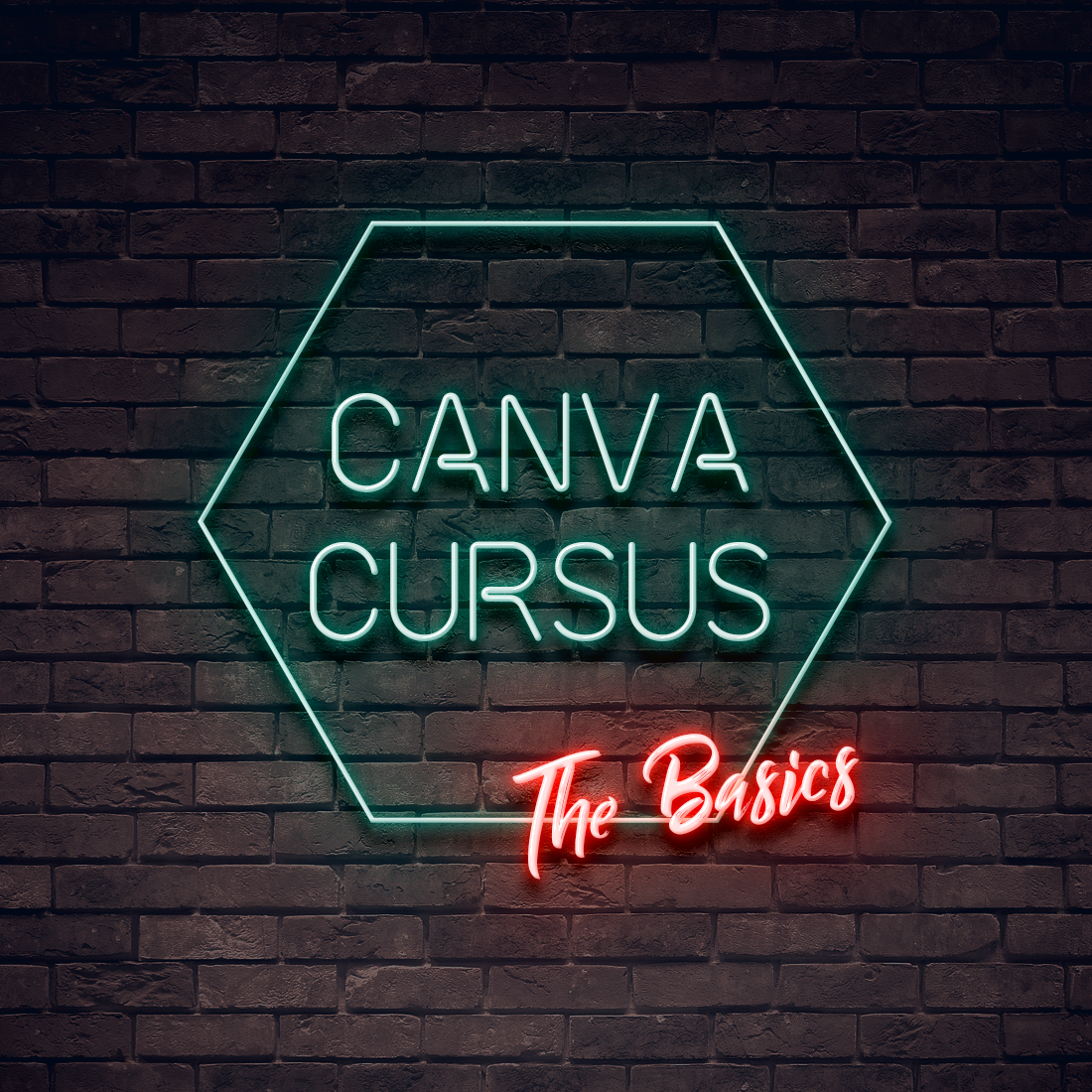 Canva Cursus - The Basics