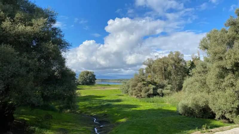 Fietsen, meren en bossen in de Champagnestreek