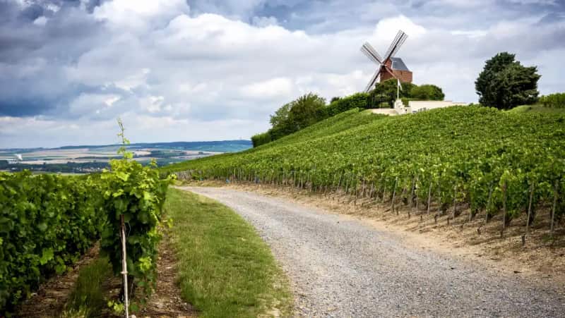 Champagne proeven en links om Parijs naar het zuiden?