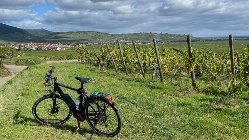Een aantrekkelijk en vlak fietsgebied in de Elzas