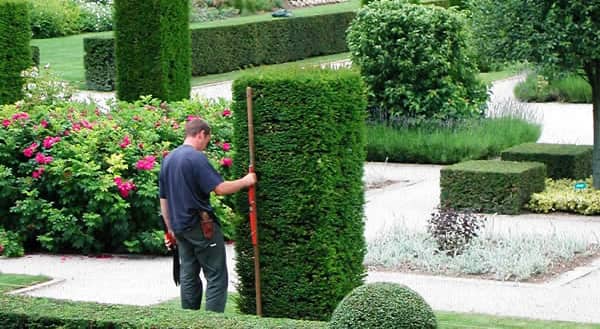 De tuinman met een waterpas