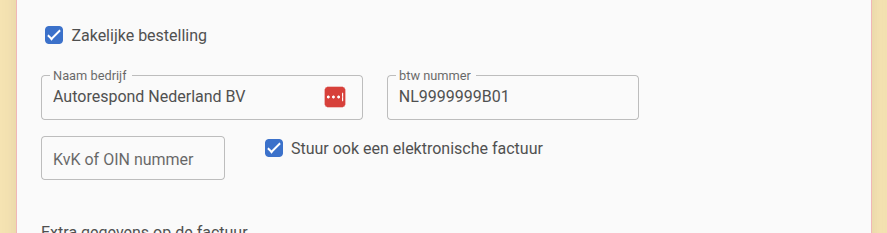 Stuur ook een e-factuur