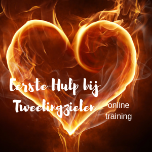 Online Training Eerste Hulp bij Tweelingzielen