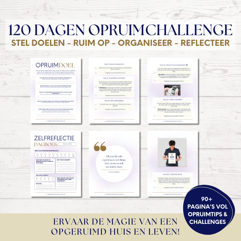 Pre order tot 1 december: De 120 dagen De Bezem door je Leven opruimchallenge - fysieke versie